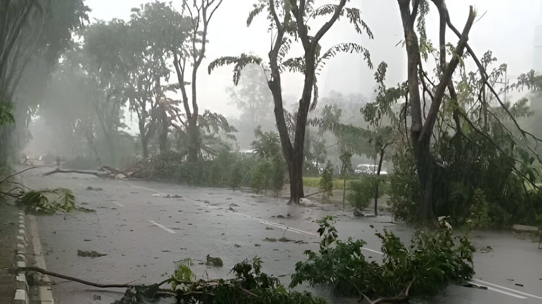 Pohon Tumbang Akibat Angin Kencang di Cianjur, Jalan Aria Natamanggala Sempat Lumpuh