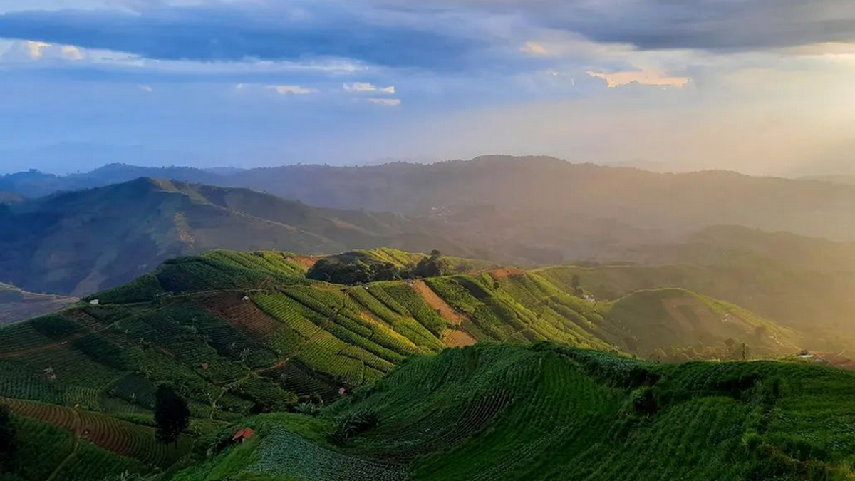 7 Destinasi Wisata Populer Majalengka 2025: Terasering, Curug, hingga Tubing di Sungai Asri