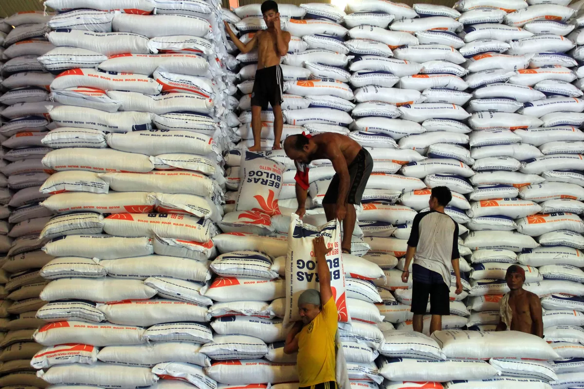 Lonjakan Serapan Bulog Buka Peluang Ekspor Beras Indonesia