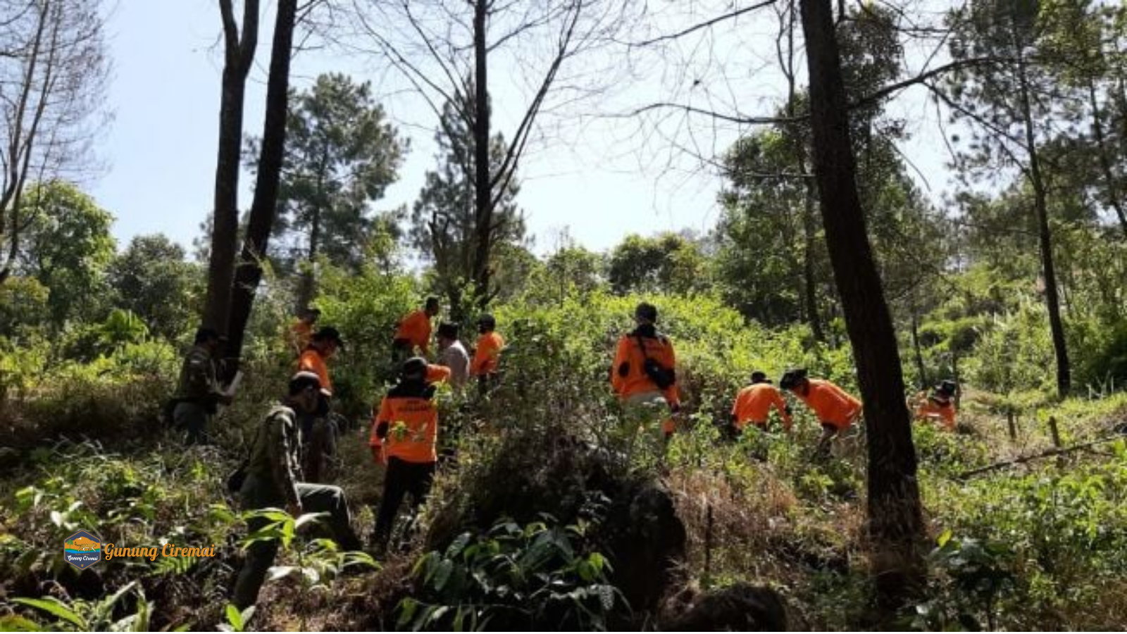 BTNGC Tegaskan Pemulihan Ekosistem Gunung Ciremai Terus Berjalan