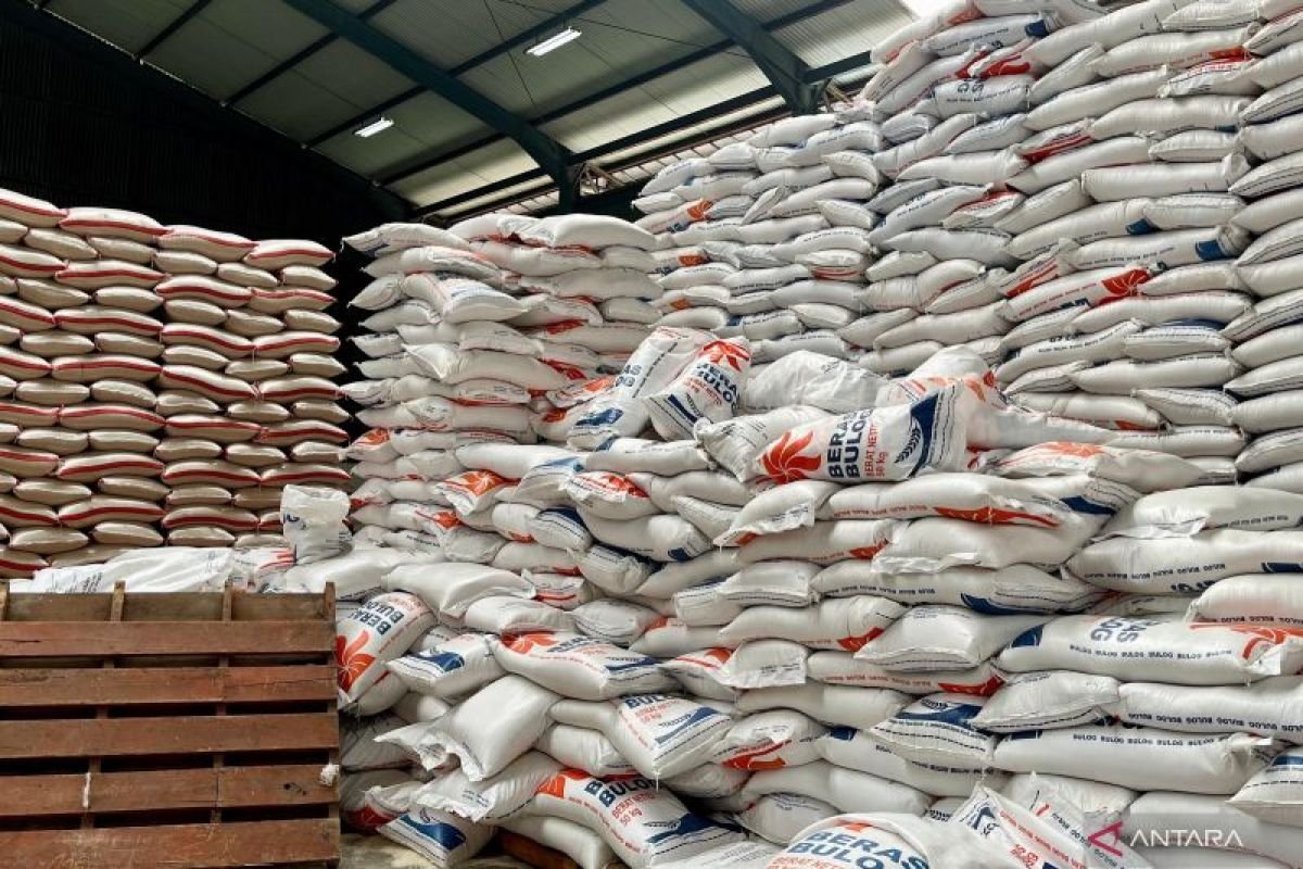 Mentan: Cadangan Beras RI Aman hingga 11 Bulan ke Depan