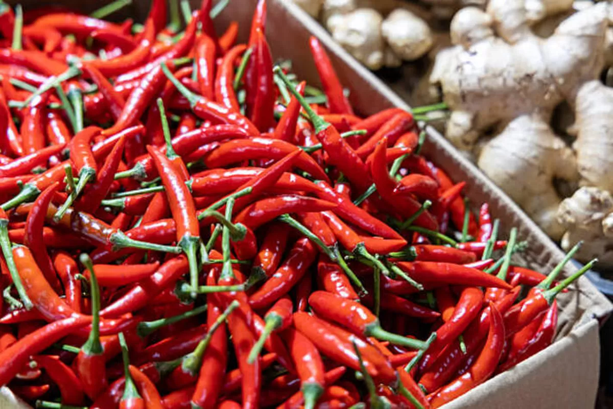 Harga Pangan Nasional Hari Ini: Cabai, Beras, hingga Daging Terpantau Stabil