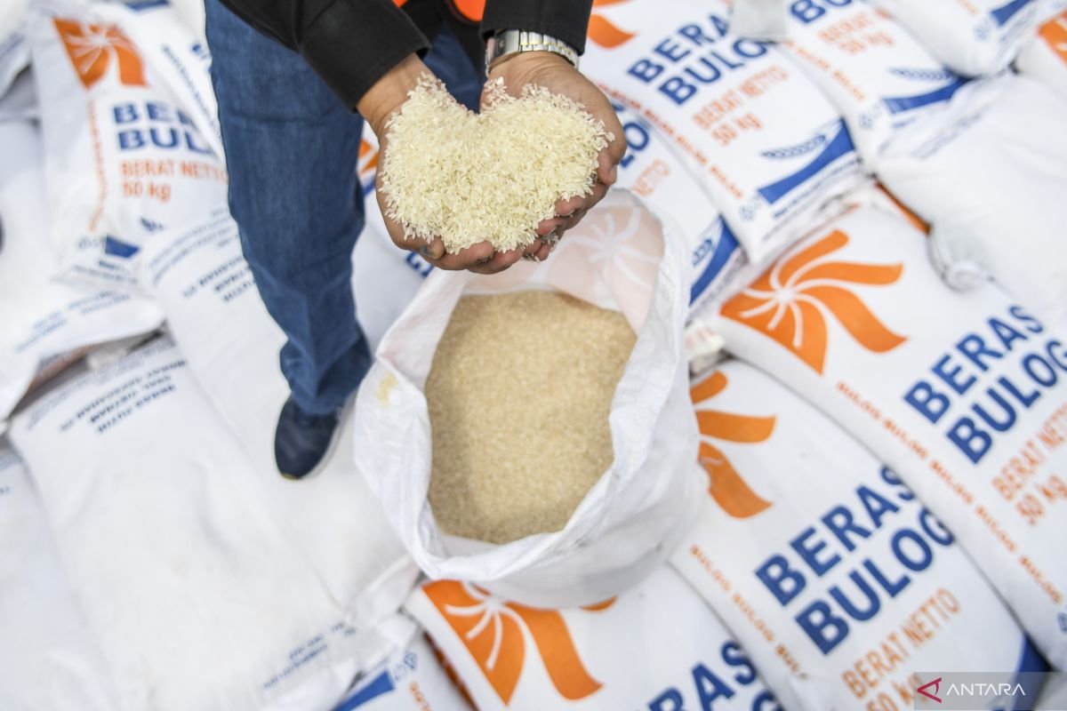 Bulog Catat Rekor Stok Beras 5,3 Juta Ton per Mei 2026