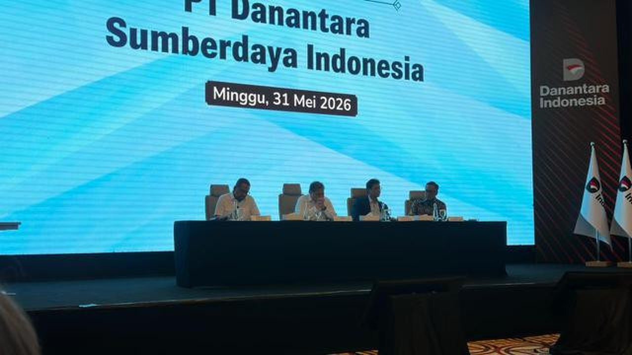 DSI Mulai Beroperasi, Danantara Jamin Governance Transparan