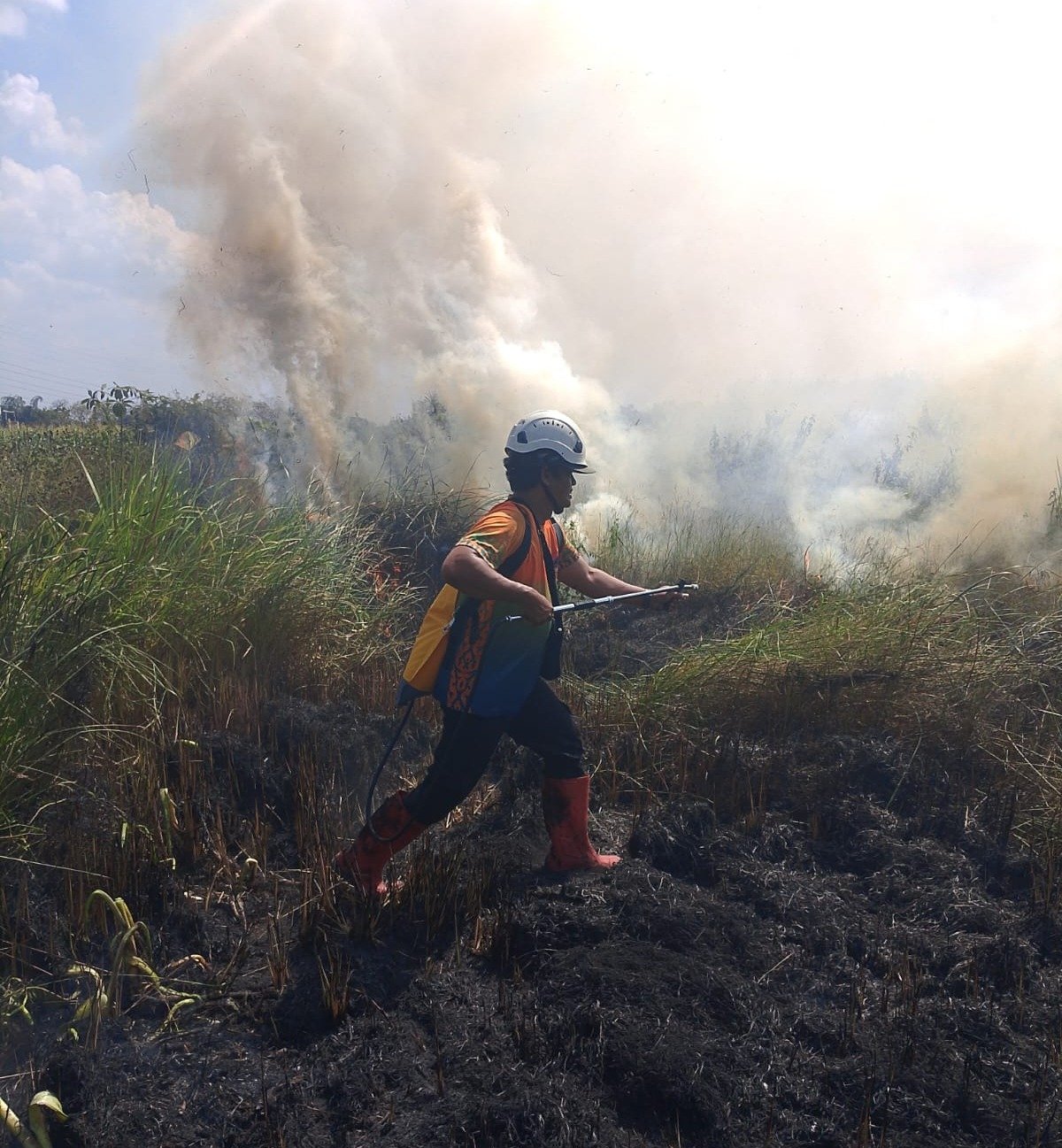 Kebakaran Lahan di Banjar Meluas 5,3 Hektare, BNPB Intensifkan Pemadaman Karhutla