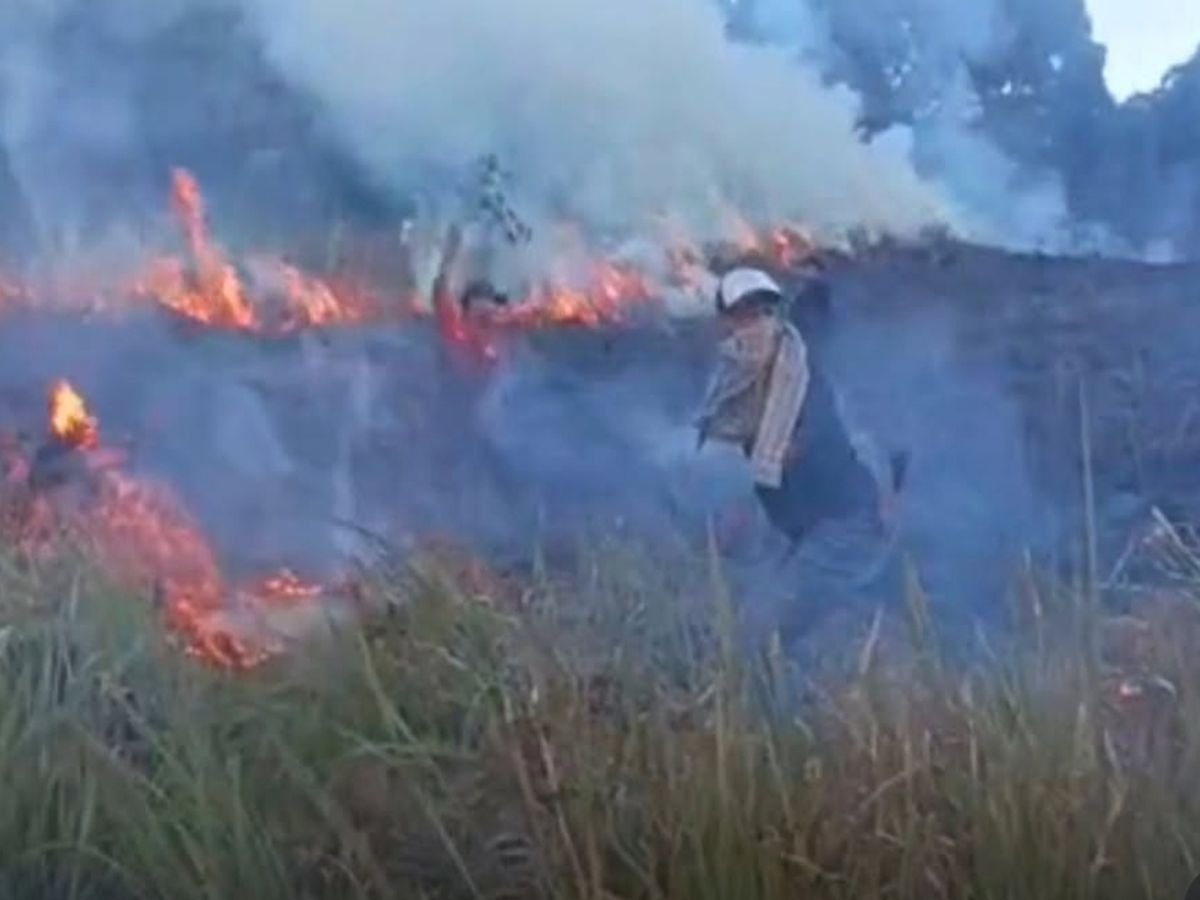 Api Masih Aktif di Savana Rinjani, Pemadaman Terkendala Kondisi Malam dan Peralatan