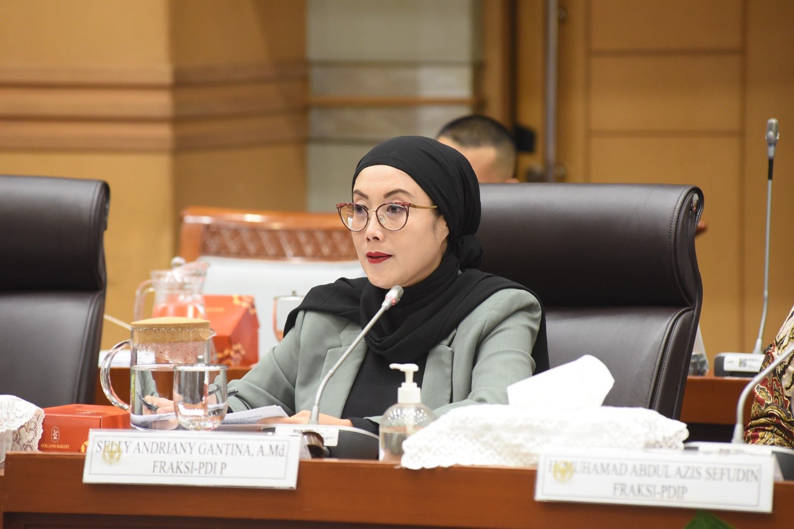 Selly PDIP Kritik Lagu Bupati Purwakarta, Dinilai Merendahkan Martabat Perempuan