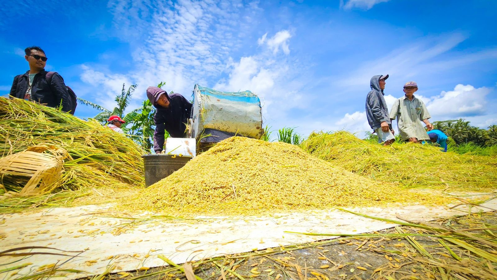 Hadapi El Nino 2026, Kementan Perkuat Pompa Air dan Irigasi Pertanian