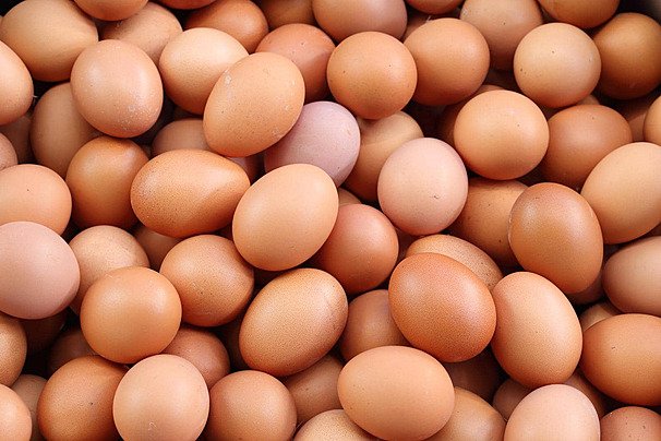 Bapanas: Harga Telur Ayam Mulai Pulih Seiring Meningkatnya Permintaan