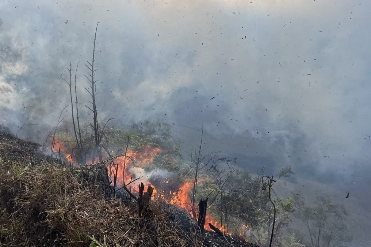 Karhutla Gunung Bromo Terjadi di Blok Bantengan, Akses Jemplang hingga Senduro Ditutup