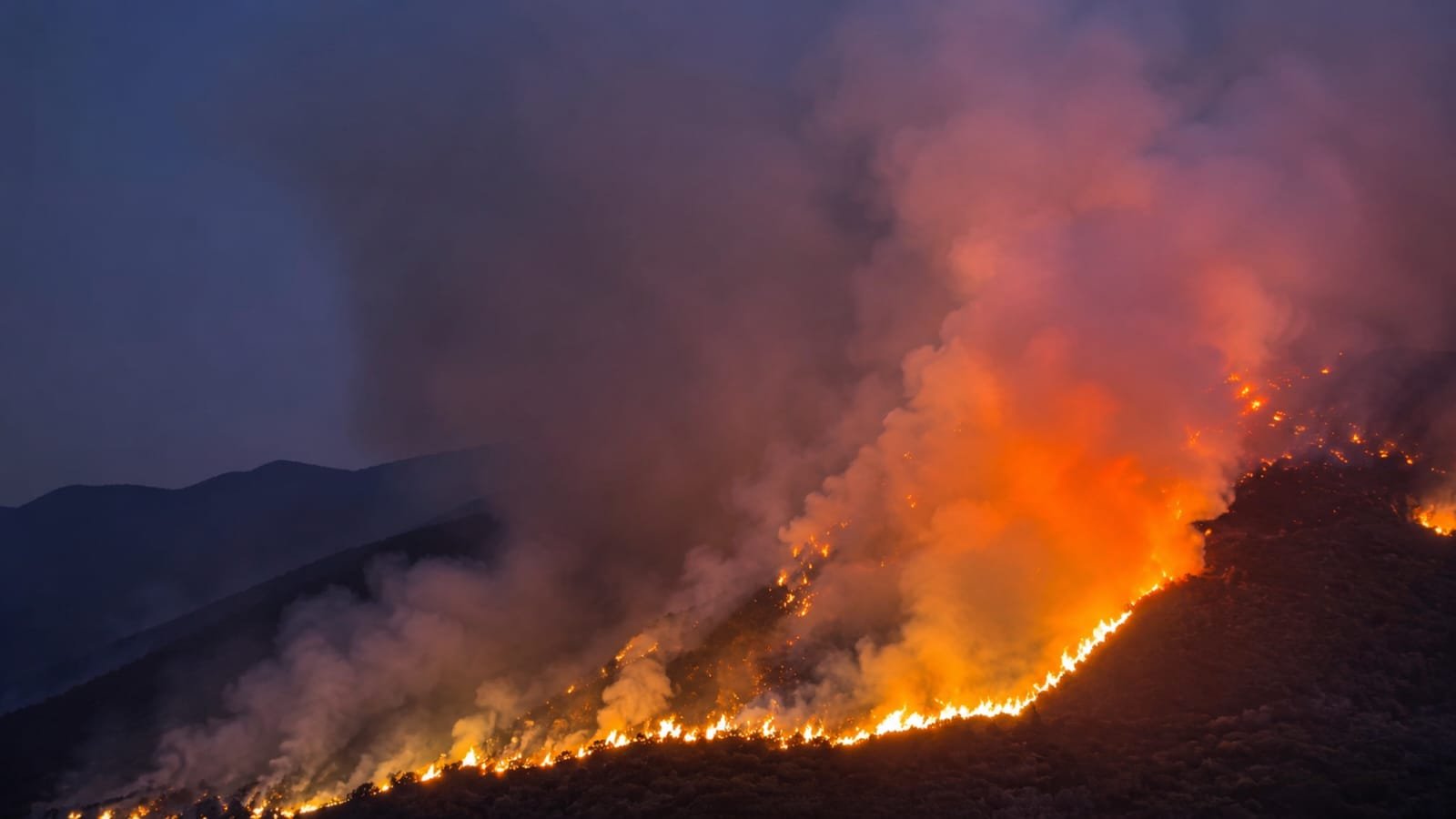 Kebakaran Hutan Bromo Meluas, Kawasan Wisata Gunung Bromo Resmi Ditutup