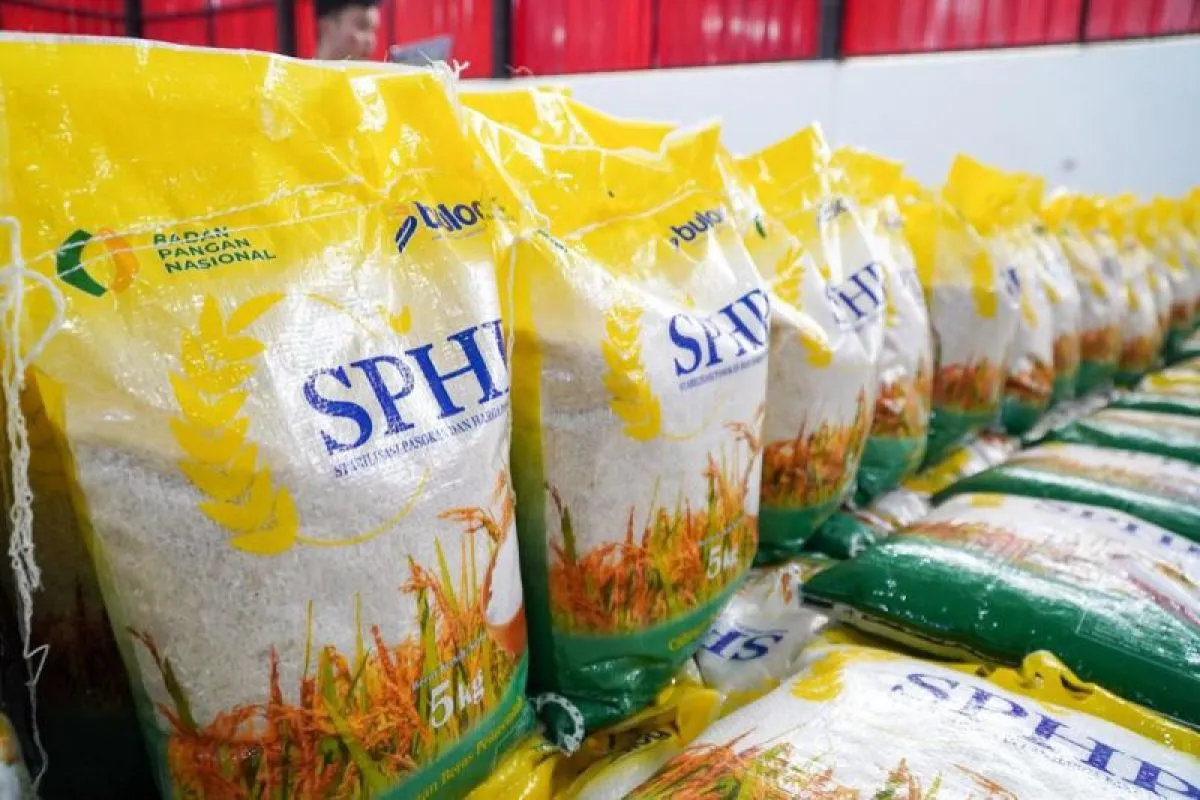 KDKMP Masuk 9 Saluran Utama Penyaluran Beras SPHP