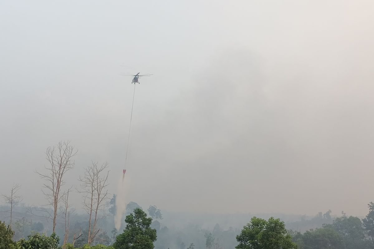 Kebakaran di Tahura Sultan Thaha Jambi Meluas, Area Terdampak Capai 800 Hektare