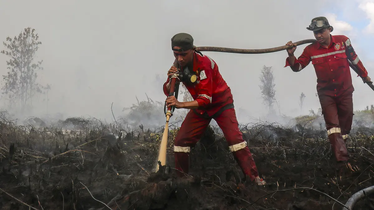 BNPB Kerahkan Puluhan Ribu Personel untuk Tangani Karhutla di Kalimantan dan Sumsel