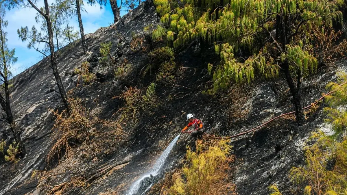 Korban Meninggal Karhutla Bromo Bertambah Jadi Lima Orang, Satu Korban Masih Dirawat