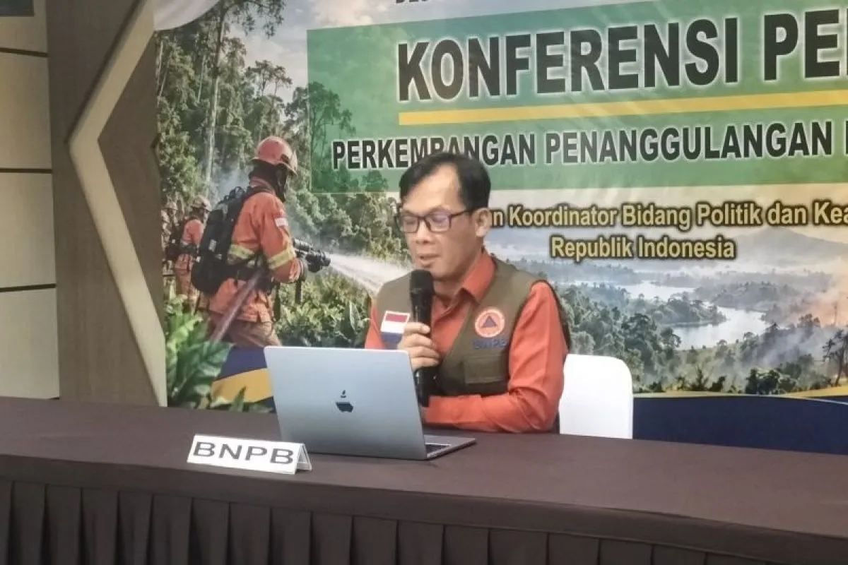 BNPB Prioritaskan Karhutla Kalteng dan Sumsel, 663,61 Hektare Masih Ditangani